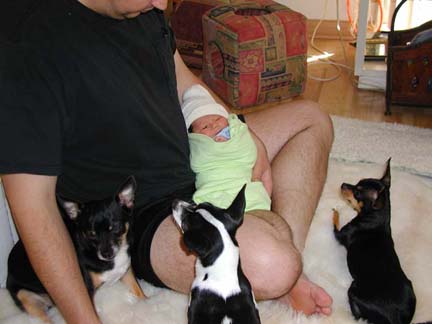Dad-Trav-Dogs1.jpg